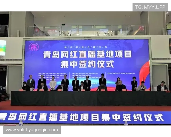 开云体育直播平台：安全稳定的直播环境保障用户观看无忧