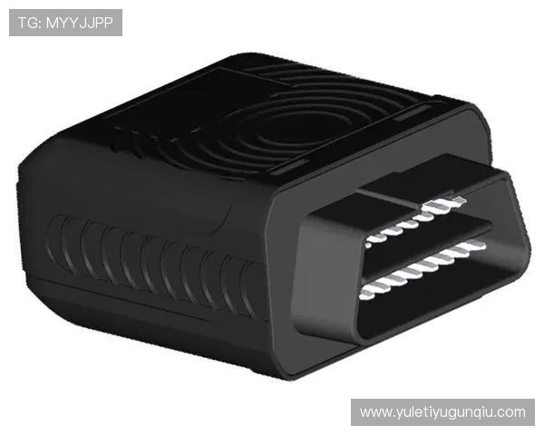 开云官方登录入口安全登录技巧，保护您的个人信息不被泄露