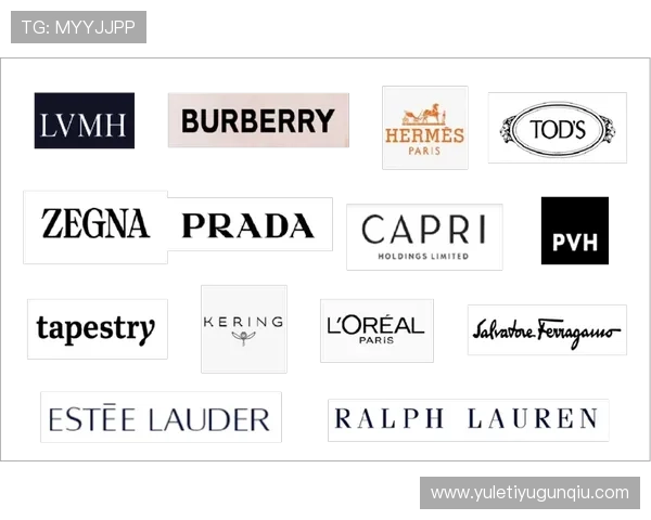 开云集团携手LVMH推动奢侈品牌数字化转型的创新实践与成功案例分享