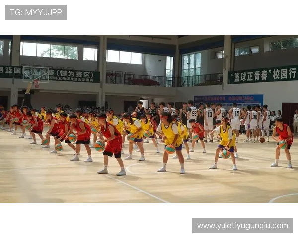 开云真人体育赛事直播与回放功能详解提升观看体验